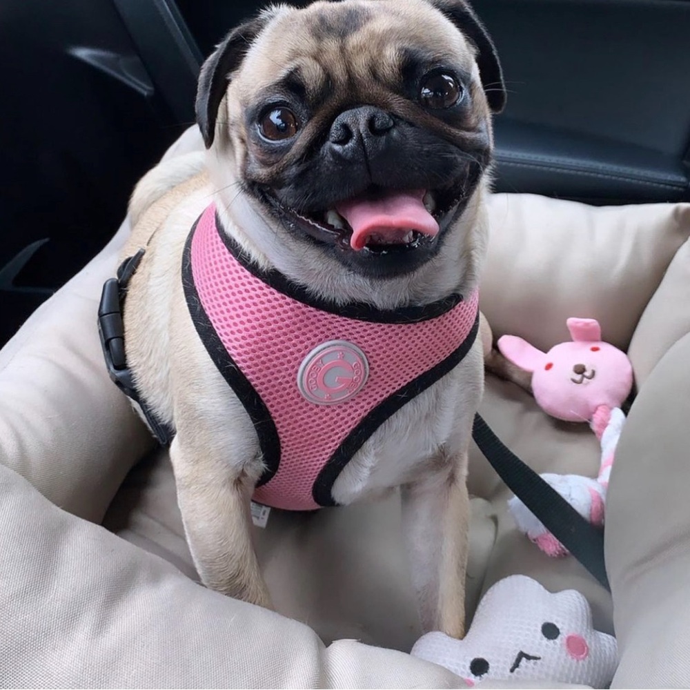 Meet your Posher, Katherine